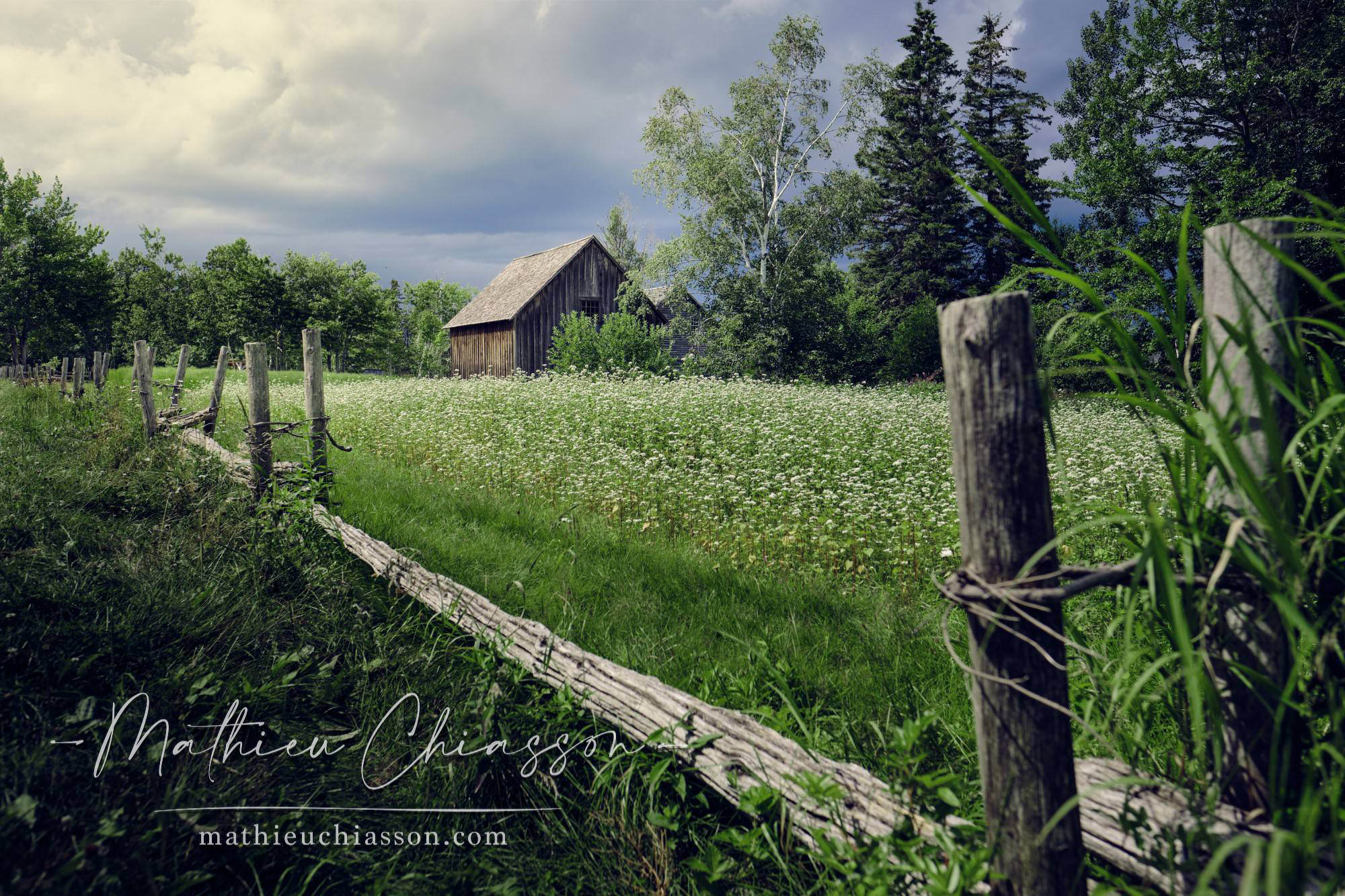 Photo by Mathieu Chiasson